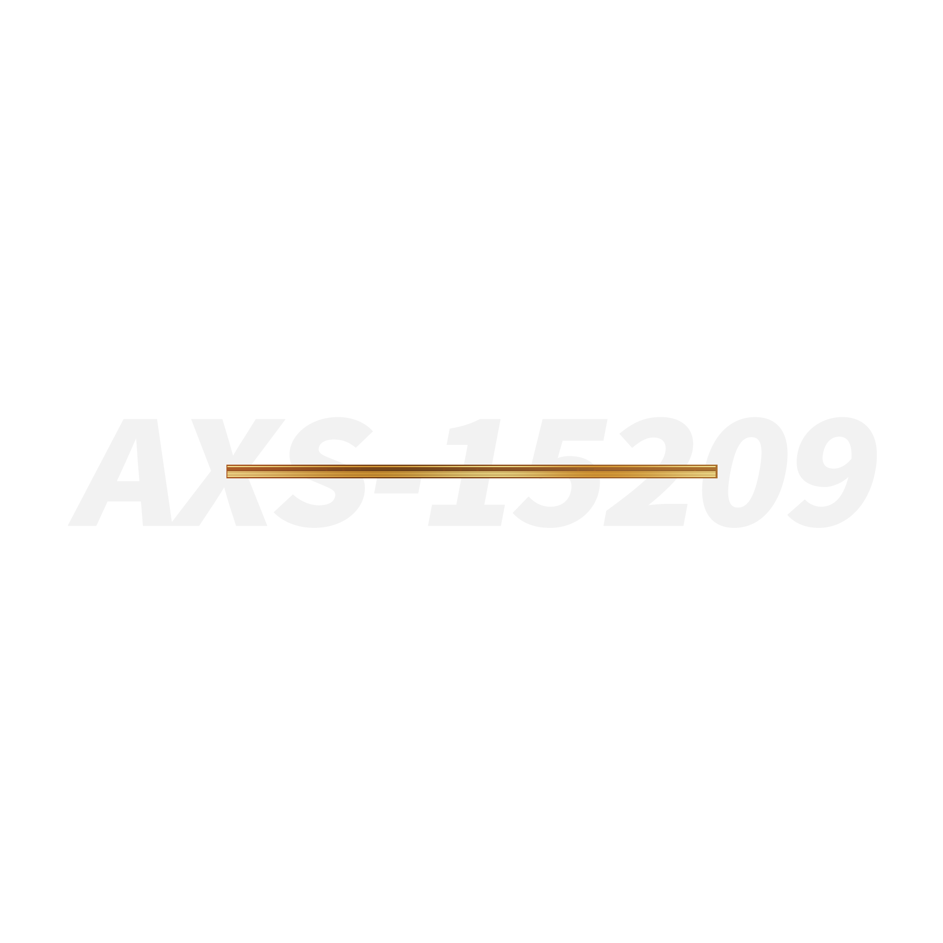 1662616674124309 AXS15209