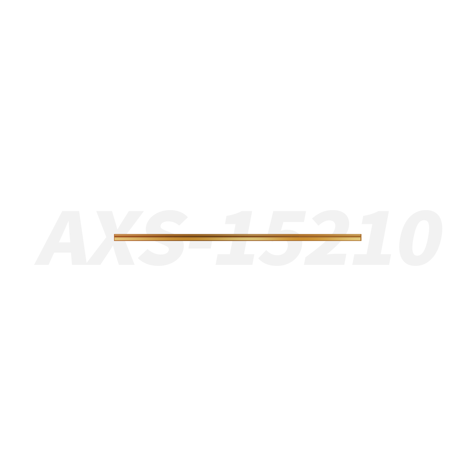 1662617599362126 AXS15210