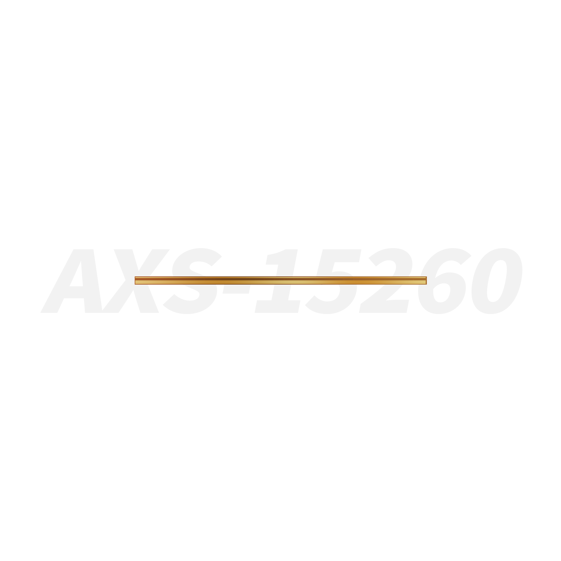 1685945831810410 AXS15260